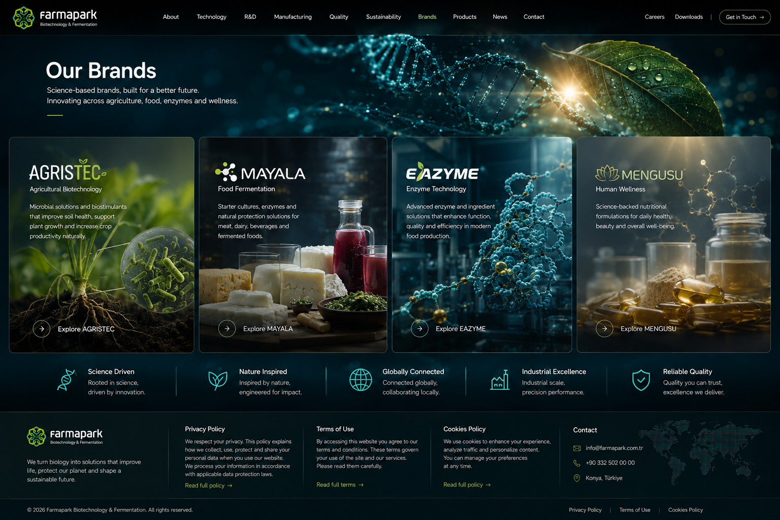 Brands interactive overview artwork